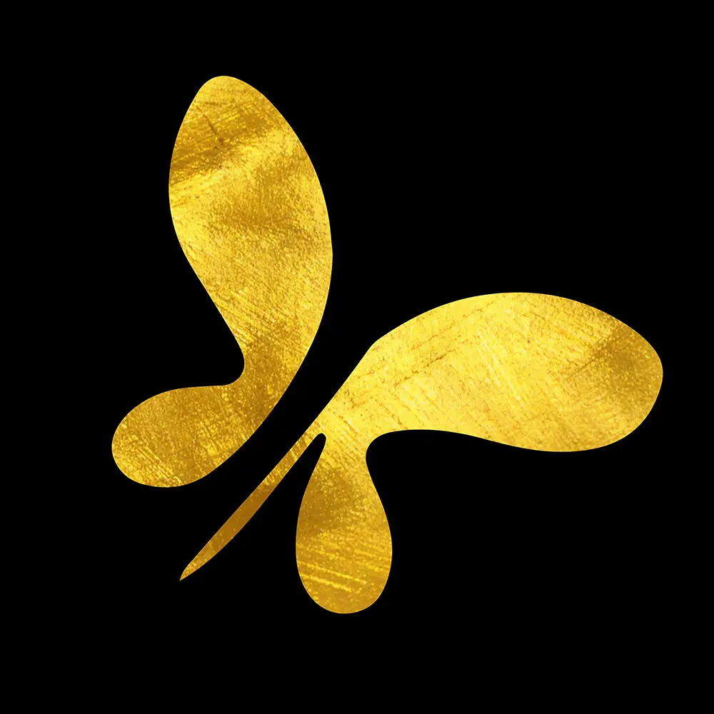 Stefdekarda